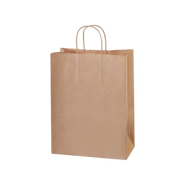 Bsc Preferred 10 x 5 x 13'' Kraft Paper Shopping Bags, 250PK BUY00029637 - main